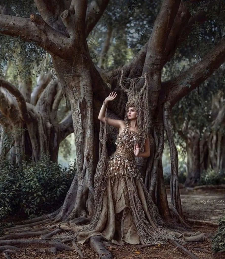 DELFONE奢木系列新品 | 烏金直紋木，與自然形態(tài)共生(圖2)