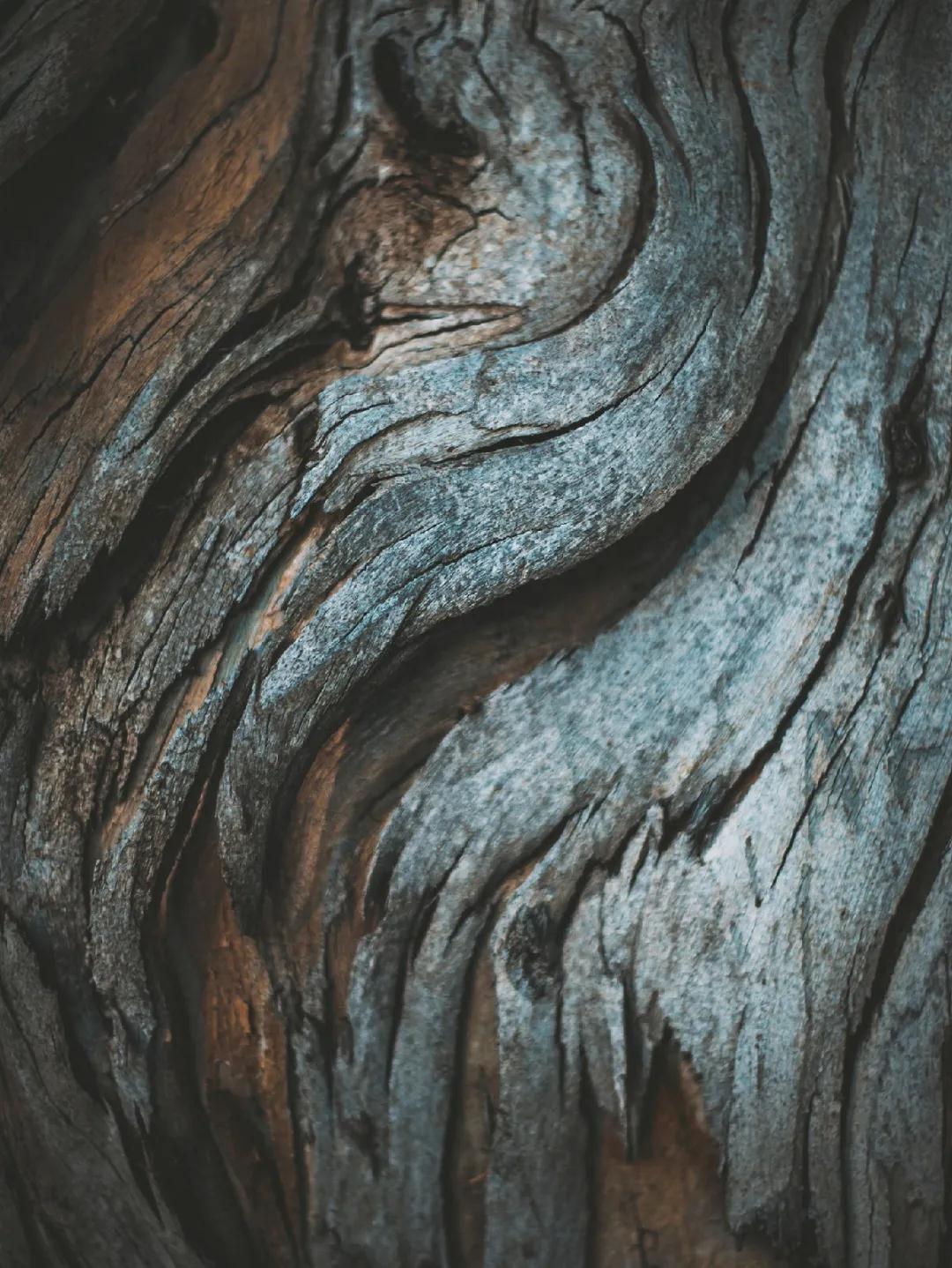 德利豐跨年特輯|跨越2020，2021再攀高峰！(圖1)