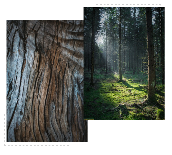 德利豐跨年特輯|跨越2020，2021再攀高峰！(圖6)