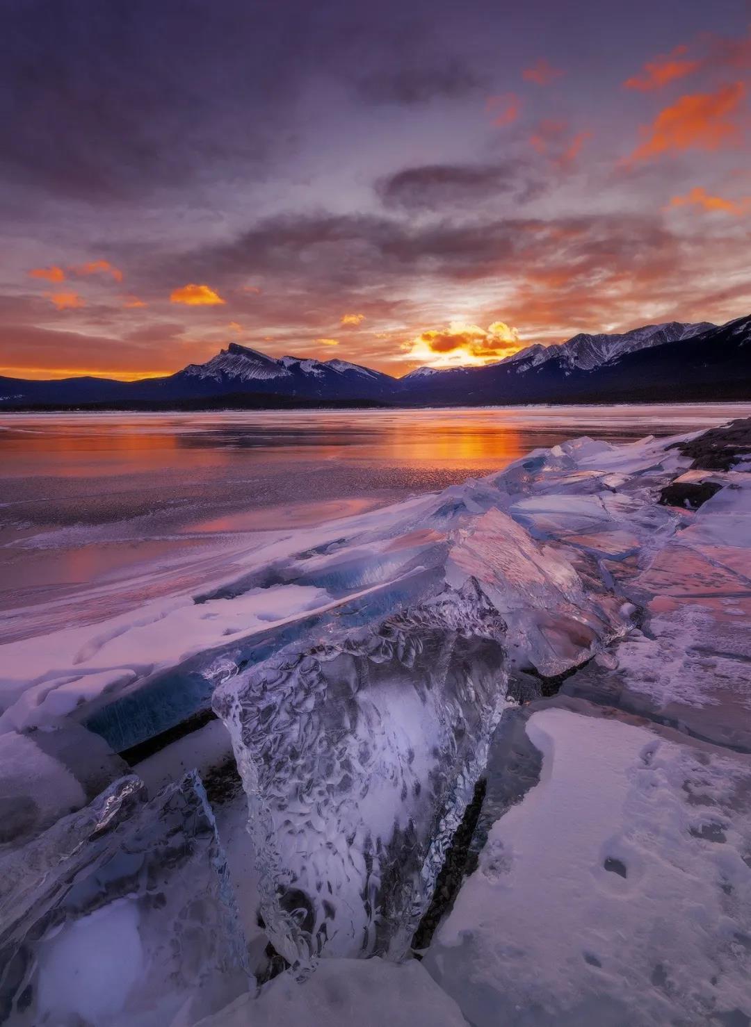 DELFONE新品 | 繁華更迭，續(xù)寫卓爾不群的高級居所(圖10)