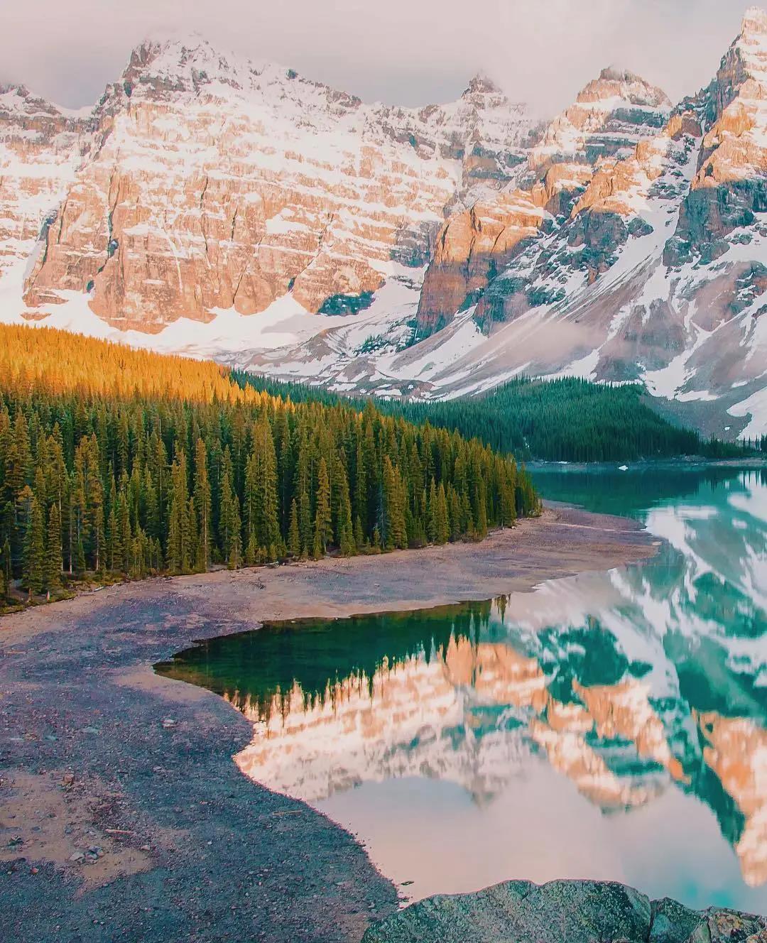 DELFONE新品 | 卡比亞金棕石、卡比亞石紋灰鑄就高端的質(zhì)感居所(圖1)