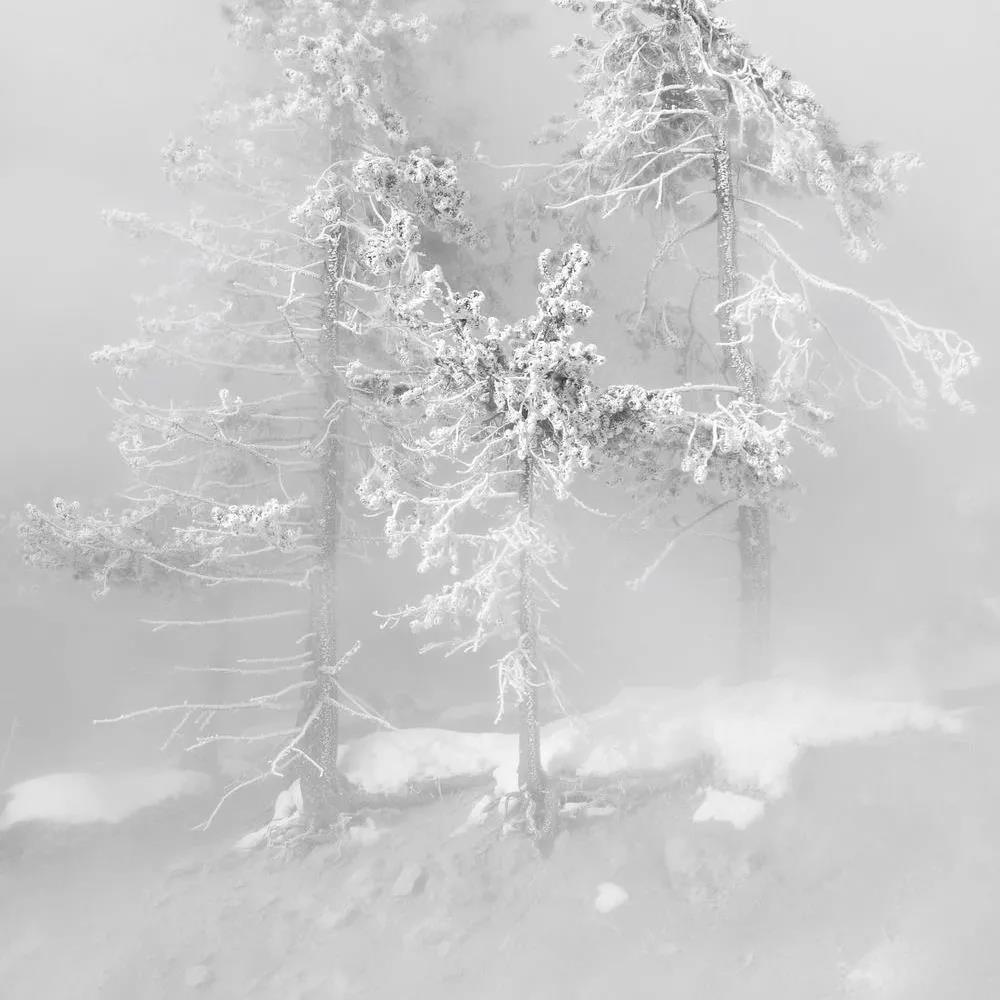 極光白全新升級｜多種工藝多個(gè)規(guī)格，釋放質(zhì)感張力！(圖1)