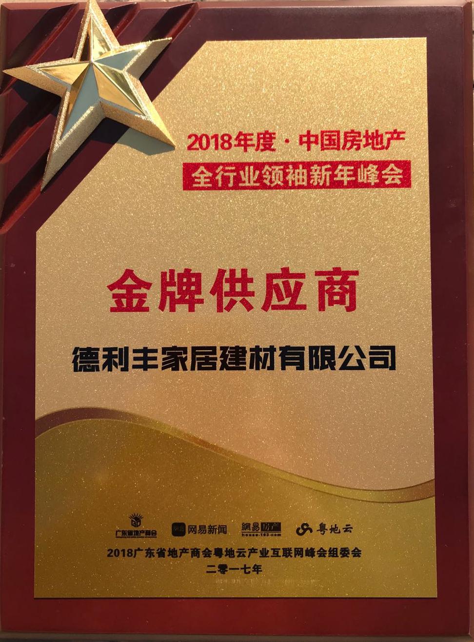 “聚焦商機(jī) 共享財(cái)富”德利豐家居湖南營運(yùn)中心(圖9)