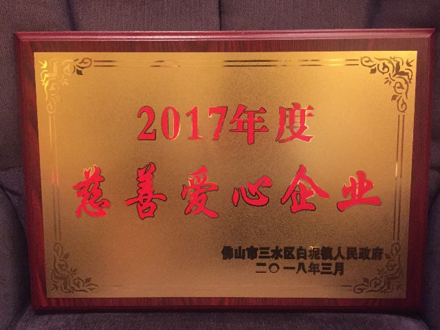 實力認證：金牌企業(yè)一天摘得5項政府級的榮譽！(圖11)