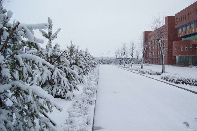 大雪入冬，這邊卻刮起了“火熱風(fēng)暴”(圖3)