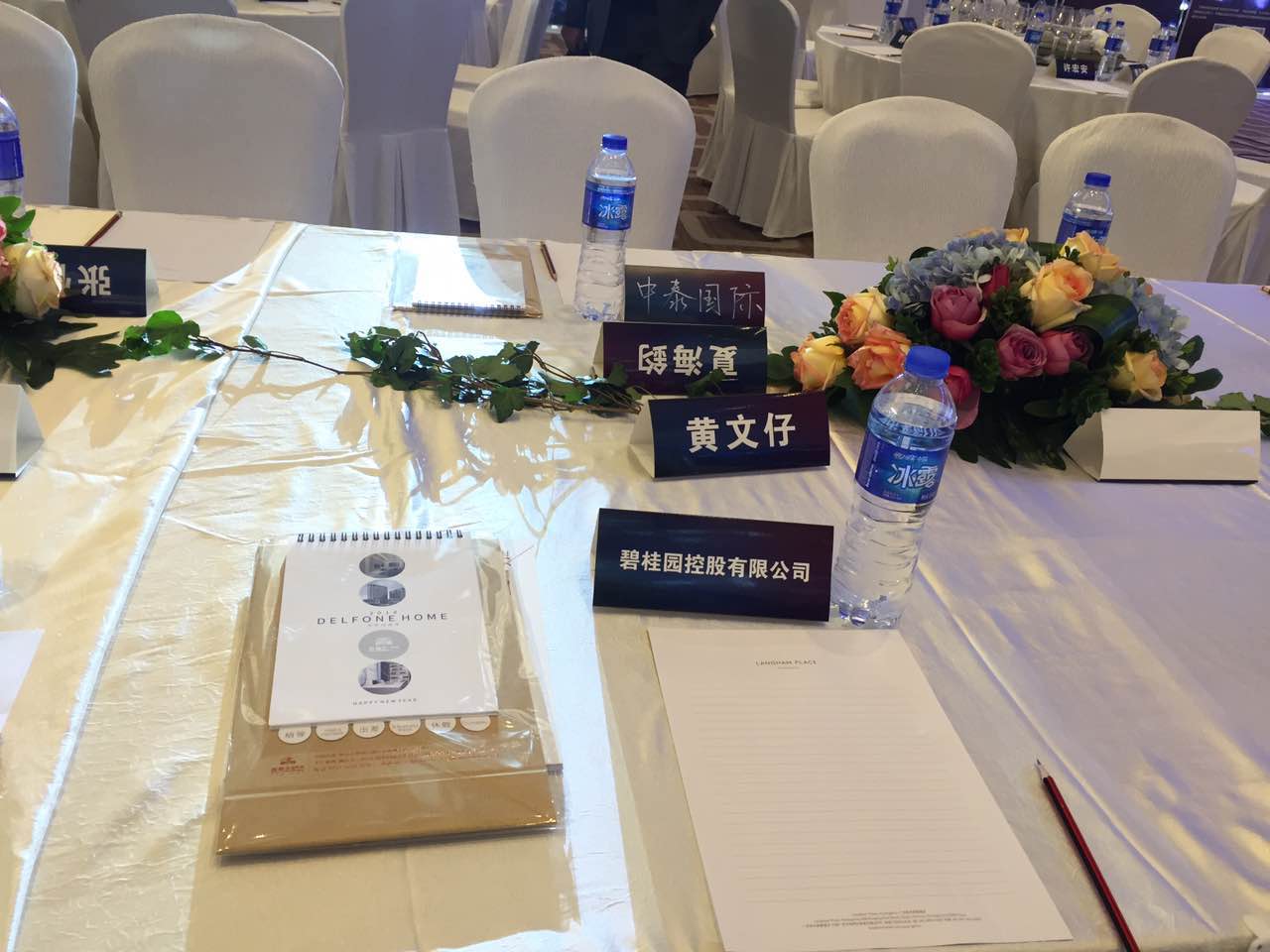 德利豐家居受業(yè)界認(rèn)可，獲“中國房地產(chǎn)金牌供(圖3)