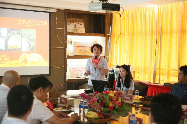 共襄盛舉丨大美·大宅·大未來！德利豐家居云浮(圖13)