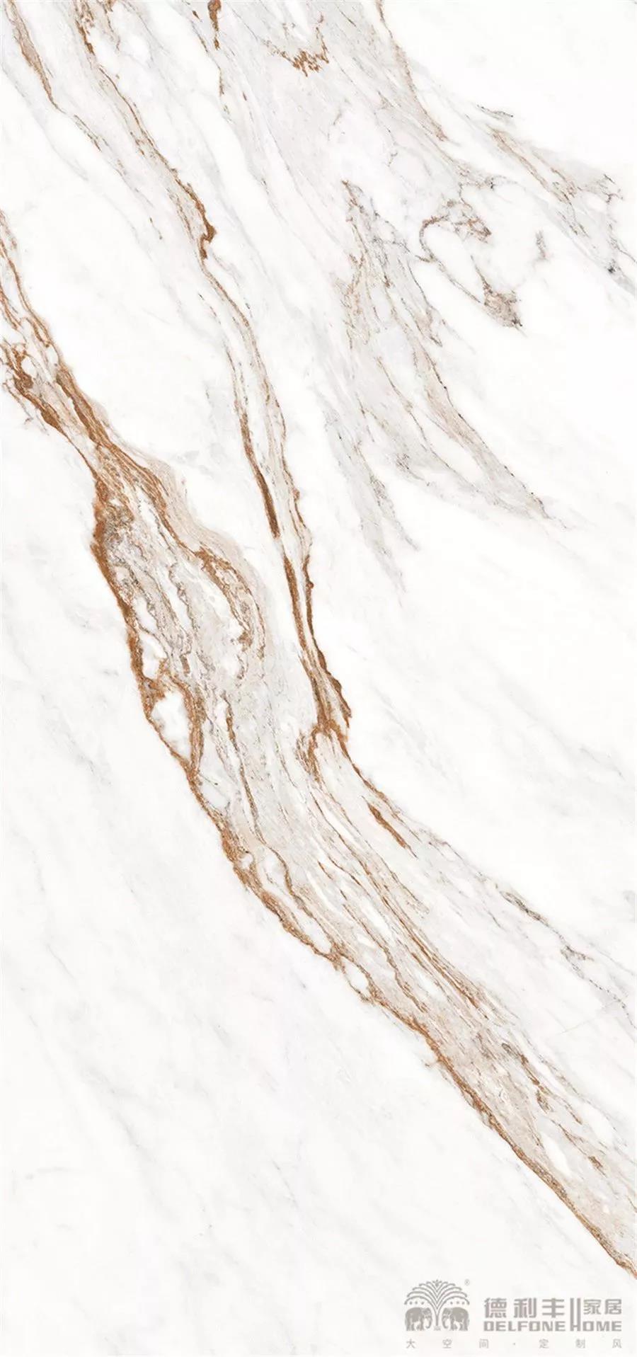 鳳凰翱翔千年，降臨東方中心(圖5)